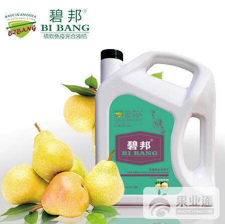 梨树冲施.jpg