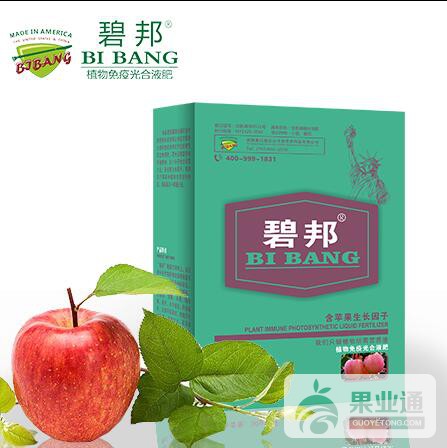 苹果喷施.jpg