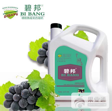 葡萄冲施.jpg