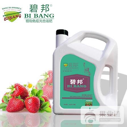 草莓冲施.jpg