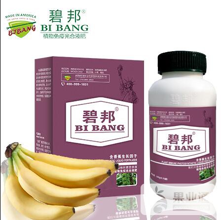 香蕉喷施.jpg