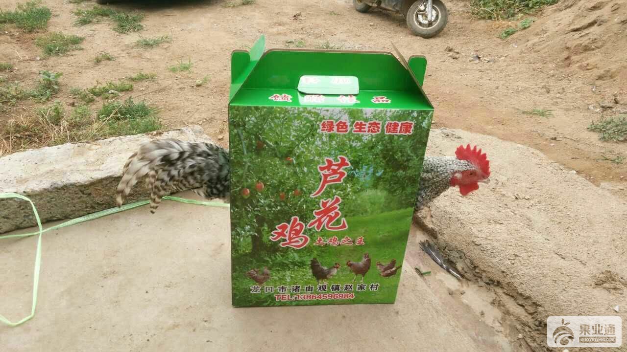 马上就要出发了