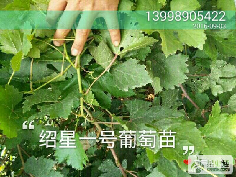 162153s6b6i5guqnq9rqrz.jpg
