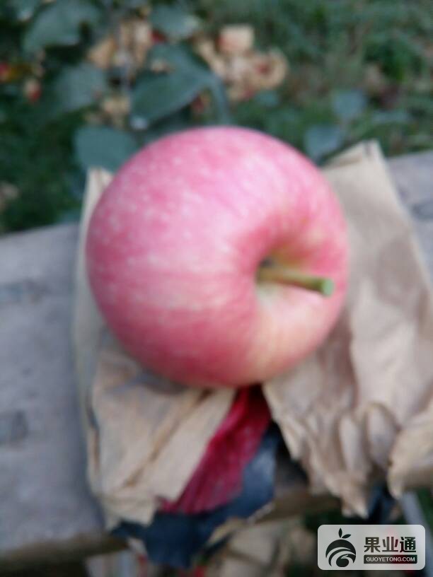 224101zsukgdrh9bchdgrd.jpg
