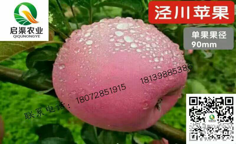 150053p84dd1jptntouotd.jpg