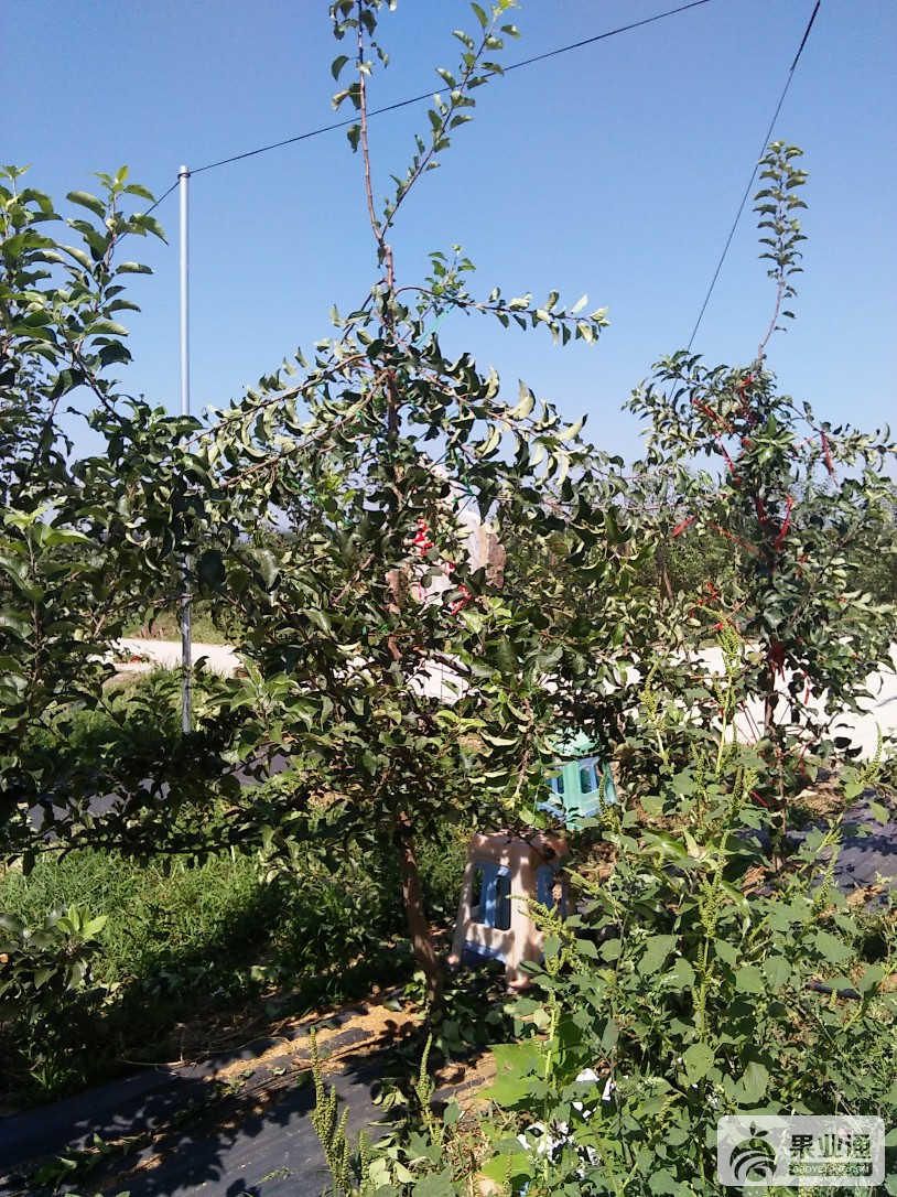 IMG20160827104255.jpg