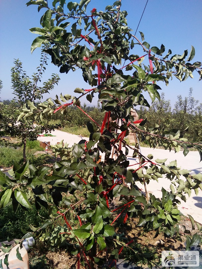 IMG20160827100741.jpg