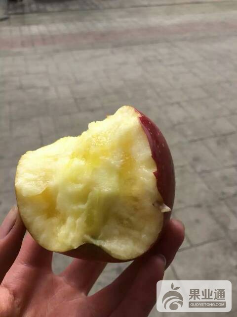 224248xefulf3fzlc203ct.jpeg