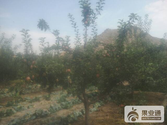 200643qo6n6rodmv9y9ifu.jpg