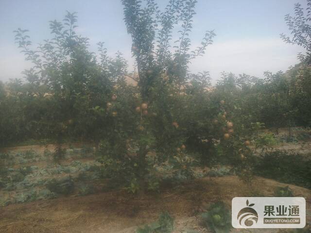 200643qqdwg111q3qg7qyd.jpg