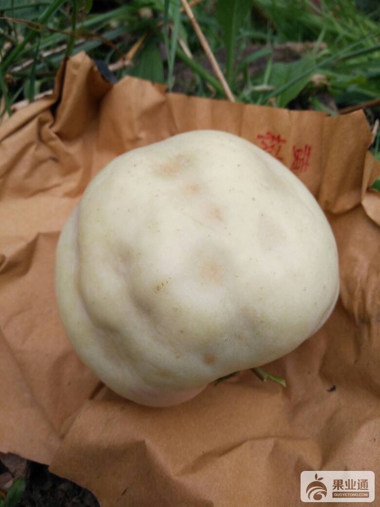 185651h9m3lrqdjvb2lcrr.jpg