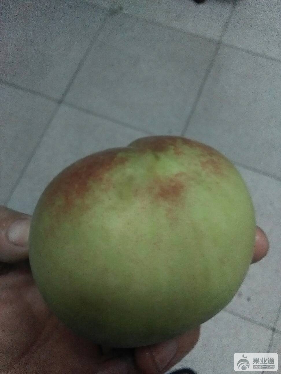 052915tmhg86xdhnrpdrpt.jpg