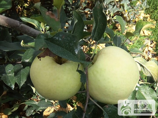 QQ图片20160809104436.jpg