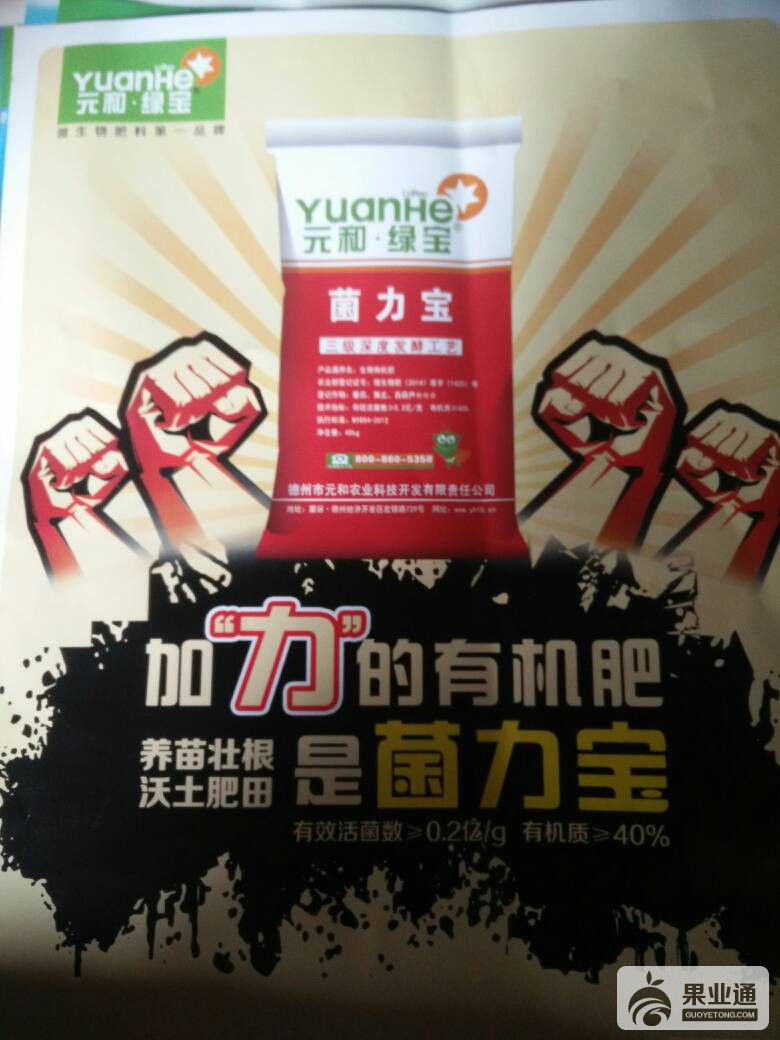 102416qvv6st6h6jul9jsv.jpg
