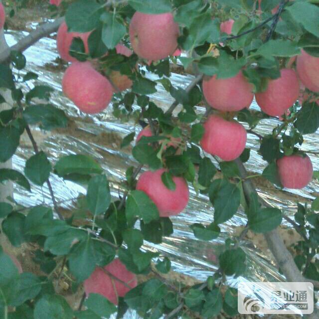 183001w2p9aduq6qzu5ydu.jpg
