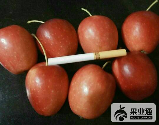 111357lt8775l7hj78eyhe.jpg