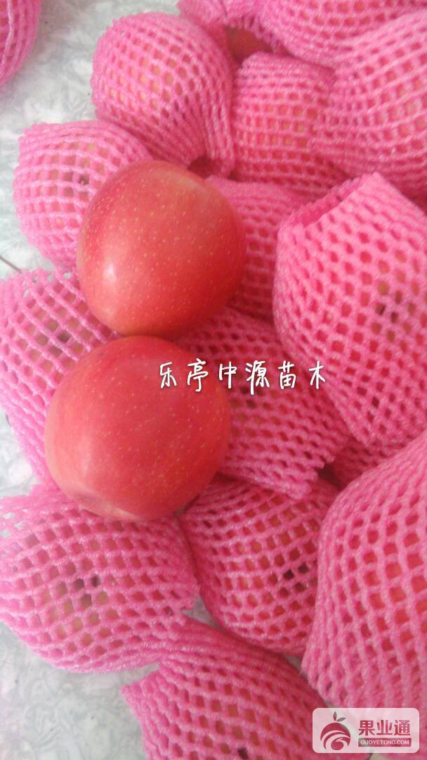101234pnfb027fp64pzonn.jpg