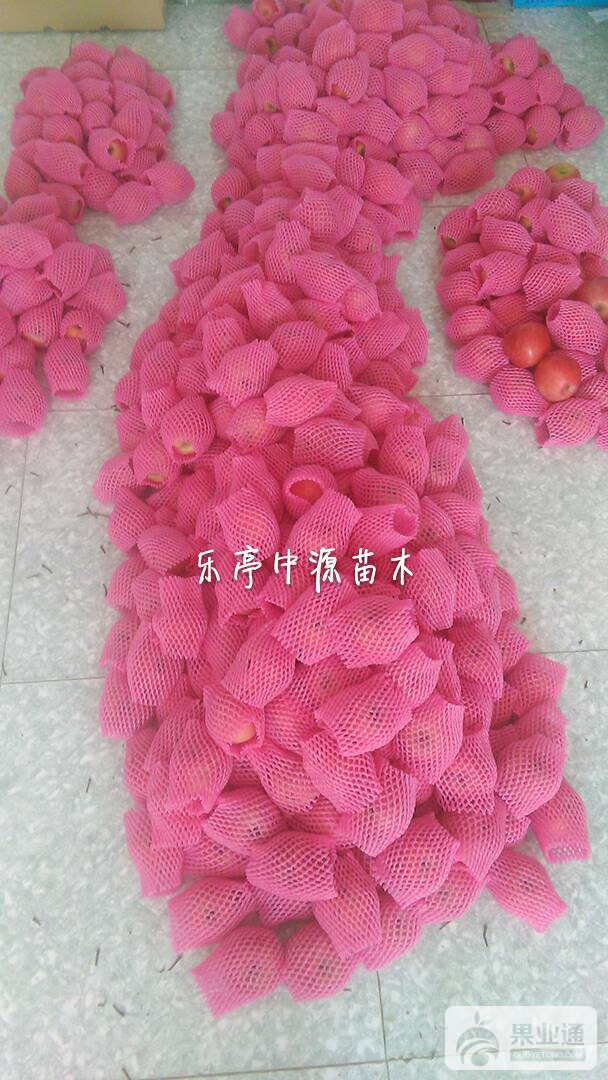 101235tieex3d77hidr0ii.jpg