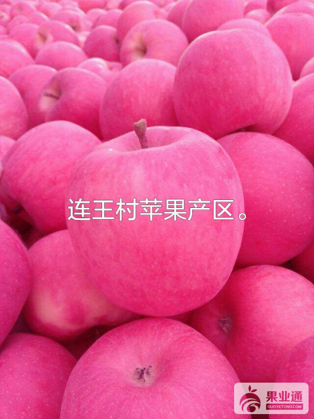 223541moitytxrjjzjxtgi.jpg