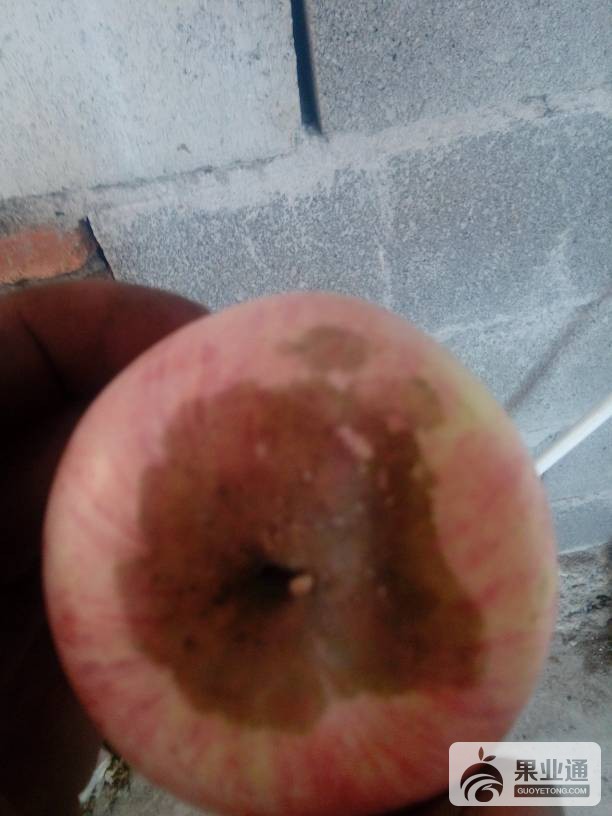 100509zl3nr03wrddwvkrf.jpg