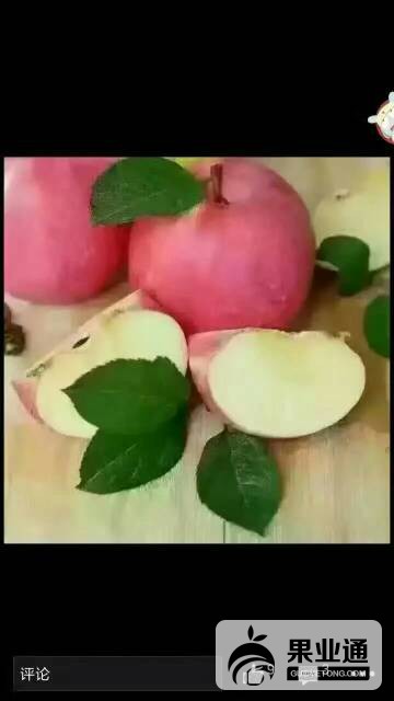 231039vsx6xwk54yaz6r56.jpeg