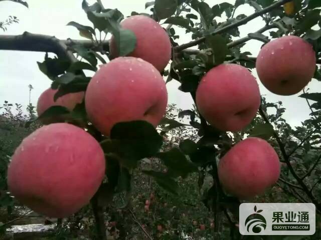 231040y4cmxa2y656ldo59.jpeg