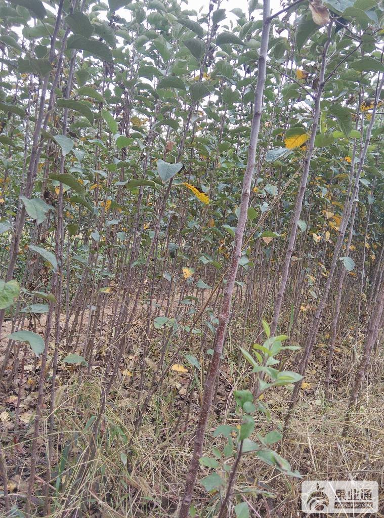IMG_20161012_133043_HDR.jpg