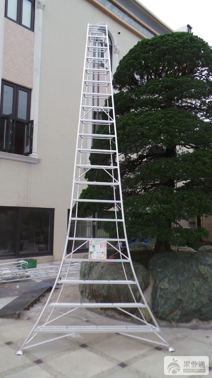 355实景图3.jpg