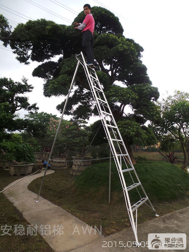 311轻便型实景图1.jpg