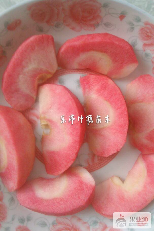 163303srp0ccn8o3bpopf2.jpg