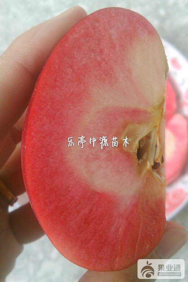 163303x4n00x414q9l81x8.jpg