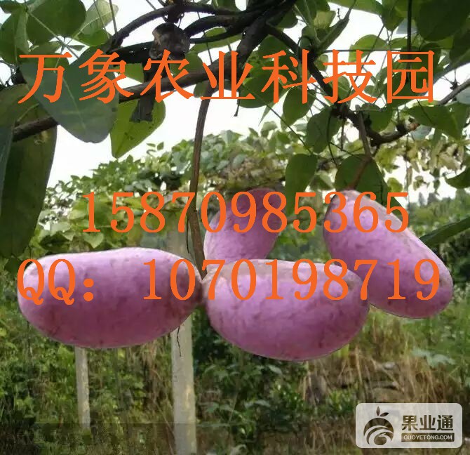mmexport1463711049774.jpg