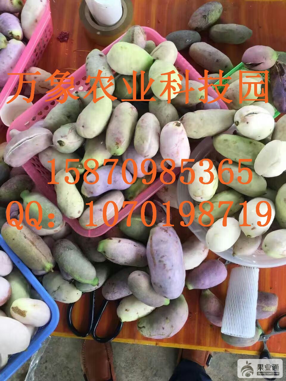 mmexport1470878392936.jpg