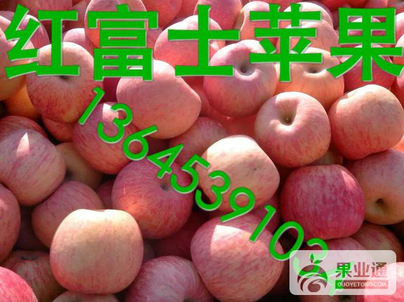 2_2773_d94a1160a2ea018.jpg
