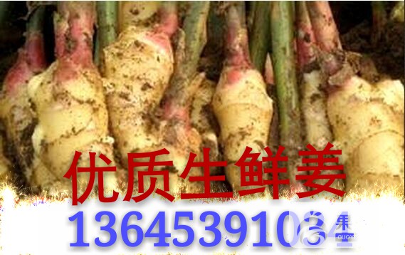51c8504398eab777_mh1443863411947.jpg