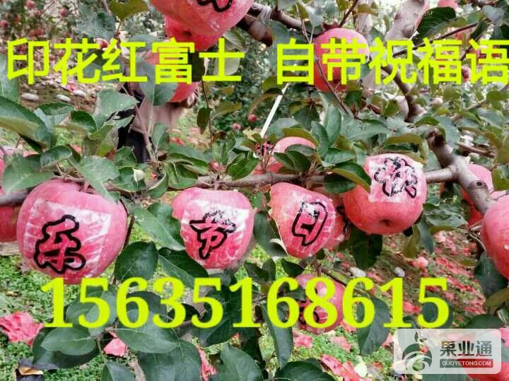 194955gw56yw557s08y825.jpg