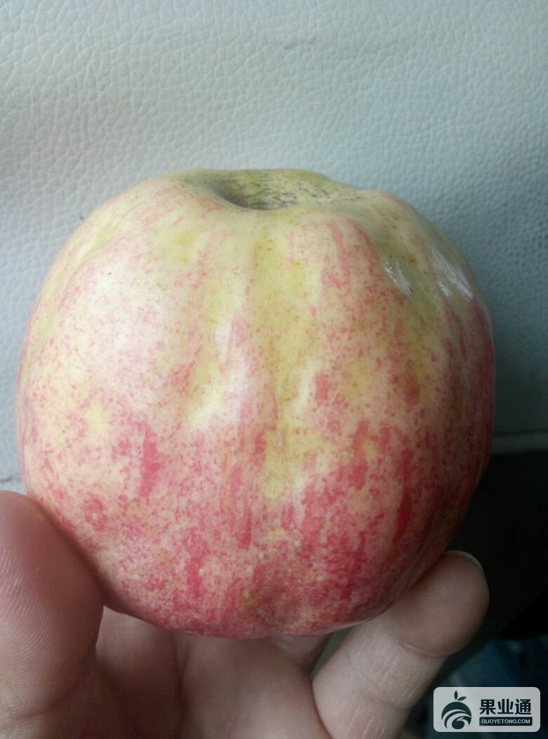 092946n5b9ookvwsktcbss.jpg