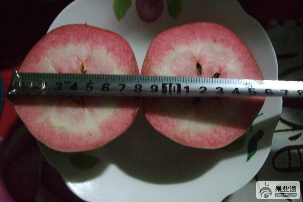 071832oi666nczz60clxt0.jpg