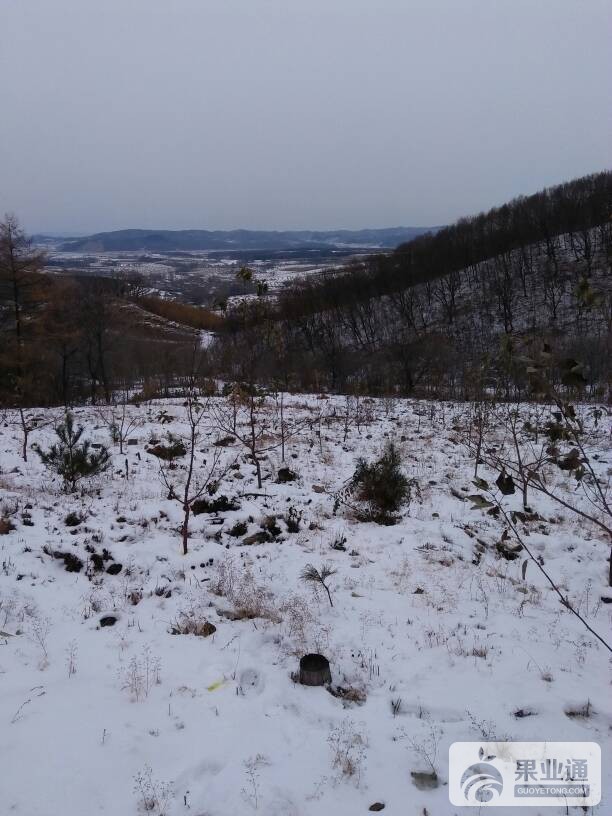 150315pqkj82zxx5xrkjj8.jpg