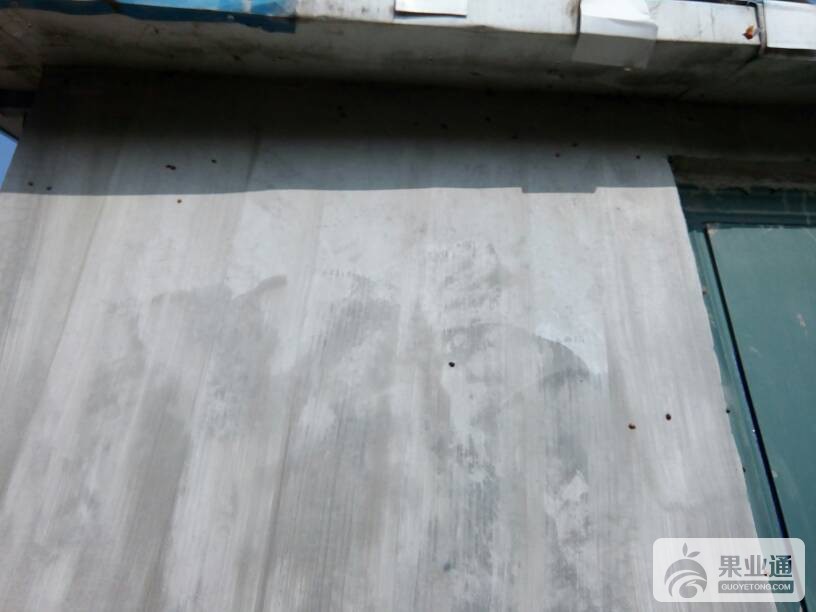 095012fg4pdpvf22rmyfgr.jpg