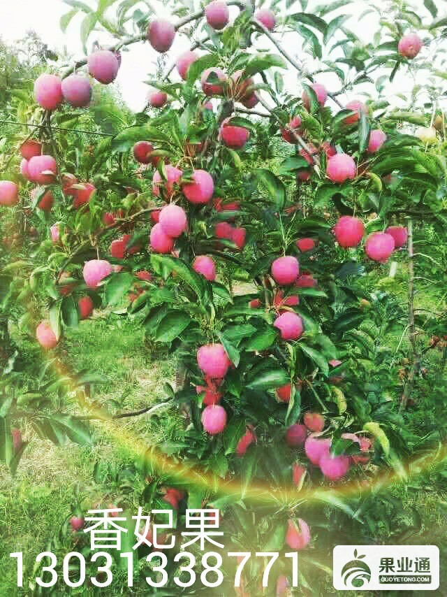 IMG_20161102_224754.jpg