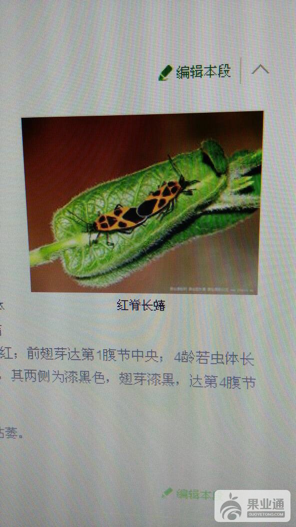 214444sclpcs272rcdr5cq.jpg