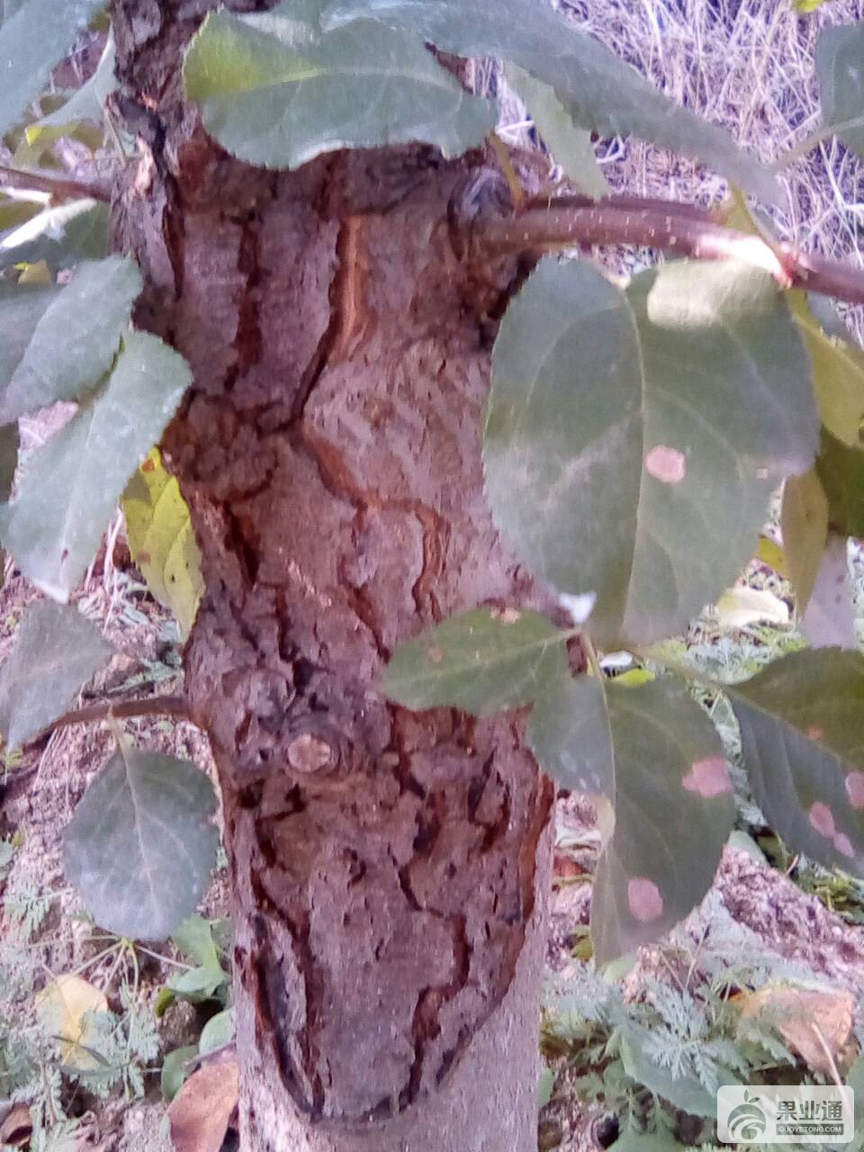 223049cplzjnkhzfc822jn.jpg