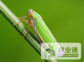 201161492702.JPG