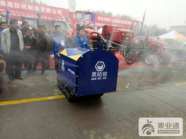 203003tqbamu6hoqy13qqj.jpg