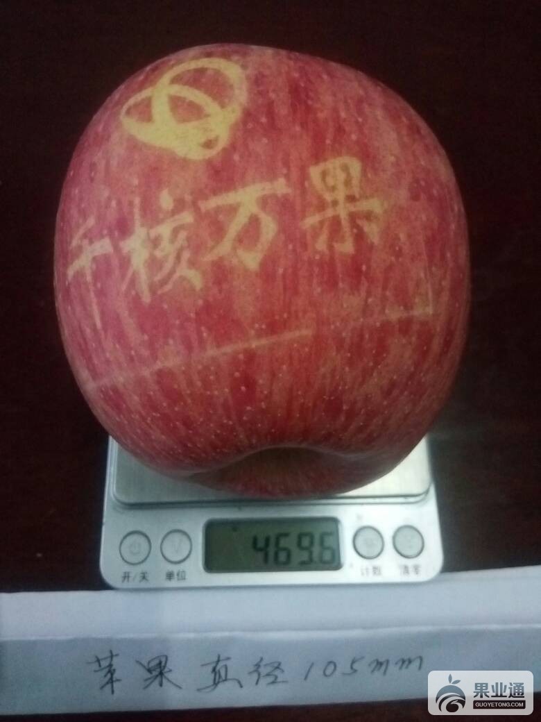 045651qaii7qiiu1x3juun.jpg