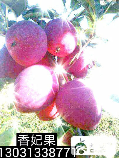IMG_20161102_224527.jpg