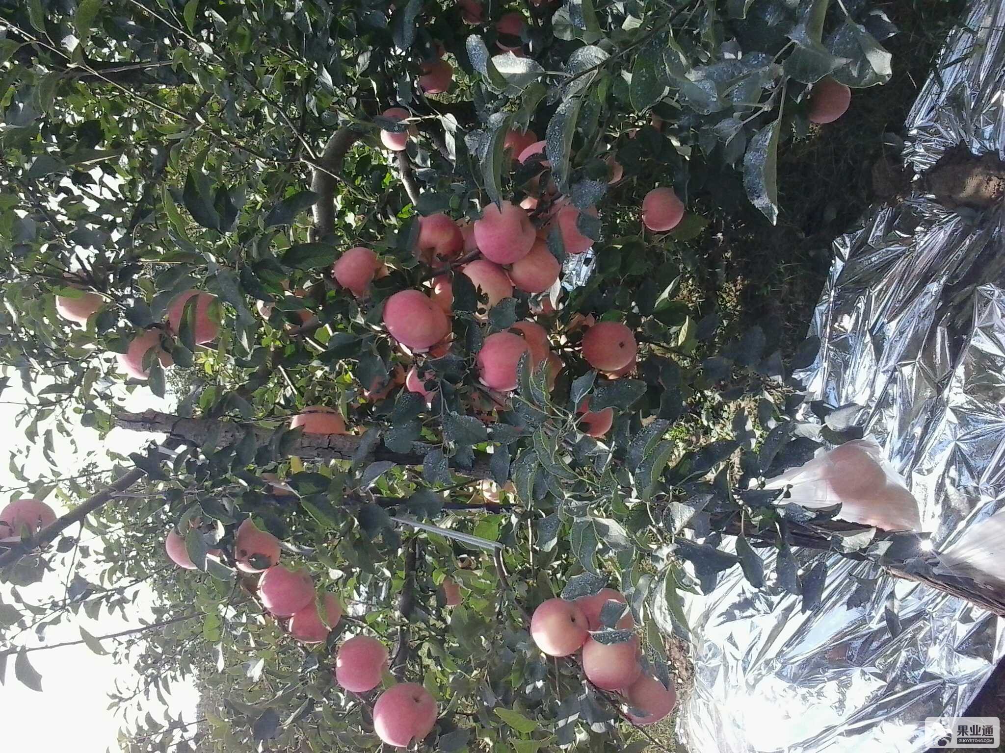 20151011_120115.jpg