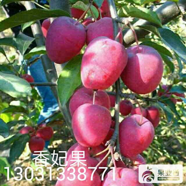 IMG_20161102_224856.jpg