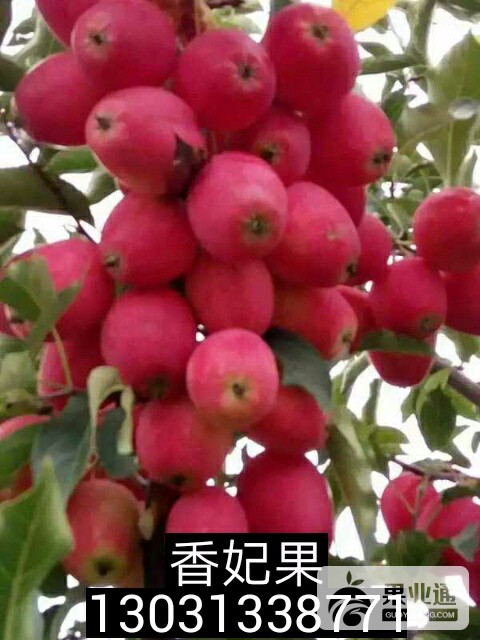 IMG_20161102_223903.jpg
